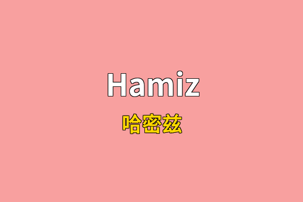 Hamiz英文名