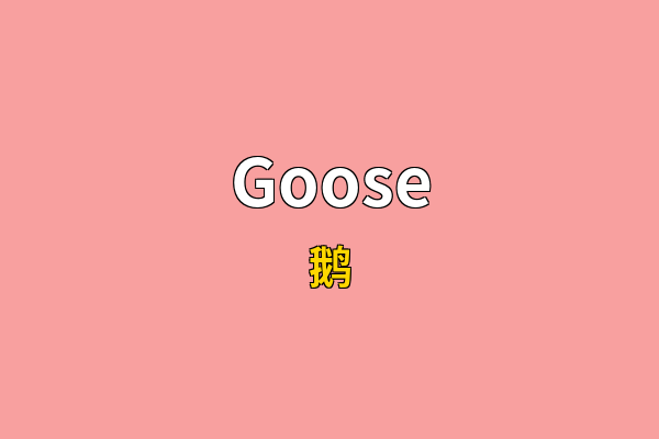 Goose英文名