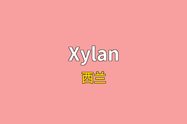 Xylan英文名