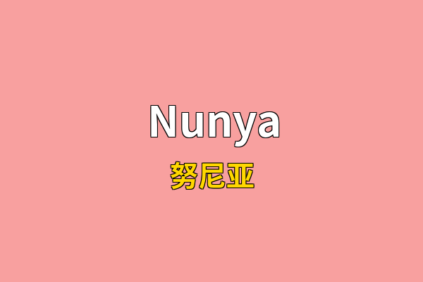 Nunya英文名