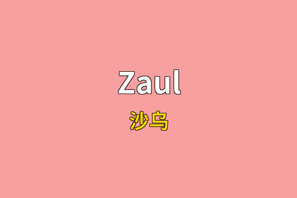 Zaul英文名