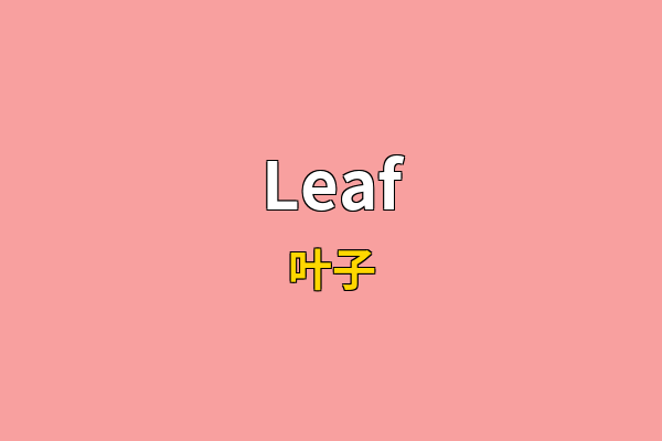 Leaf英文名