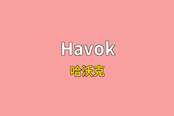 Havok英文名
