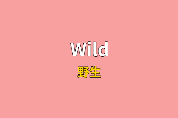Wild英文名