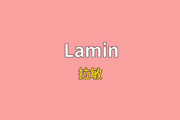 Lamin英文名