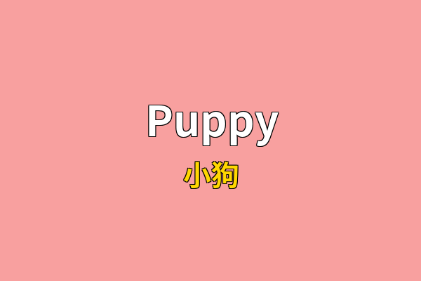 Puppy英文名