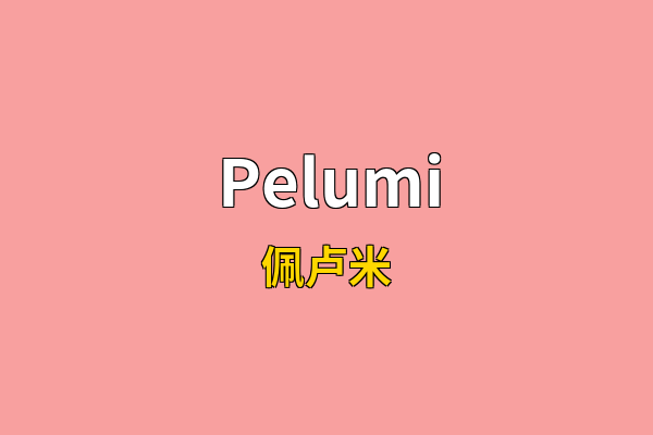 Pelumi英文名