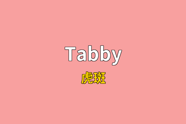 Tabby英文名