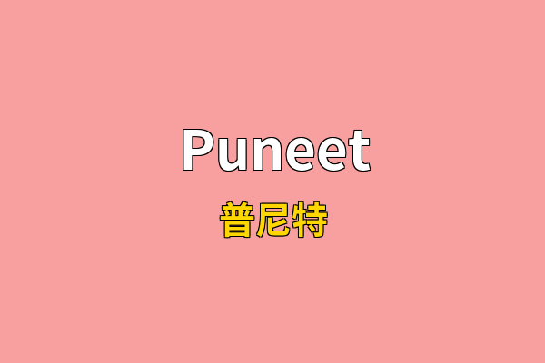 Puneet英文名
