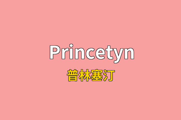 Princetyn英文名