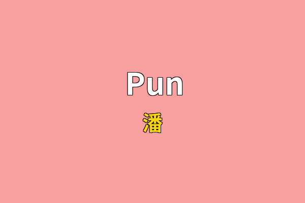 Pun英文名
