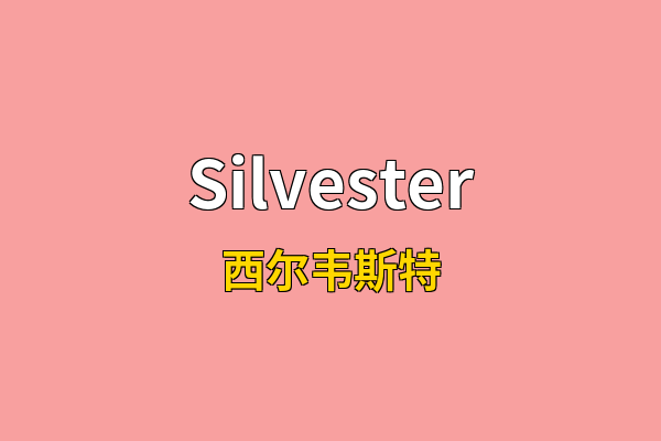 Silvester英文名