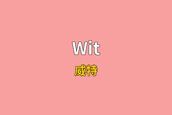 Wit英文名