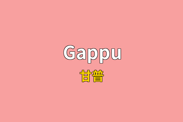 Gappu英文名