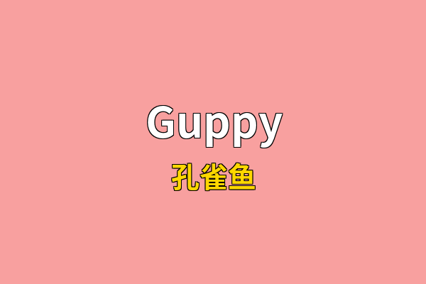 Guppy英文名