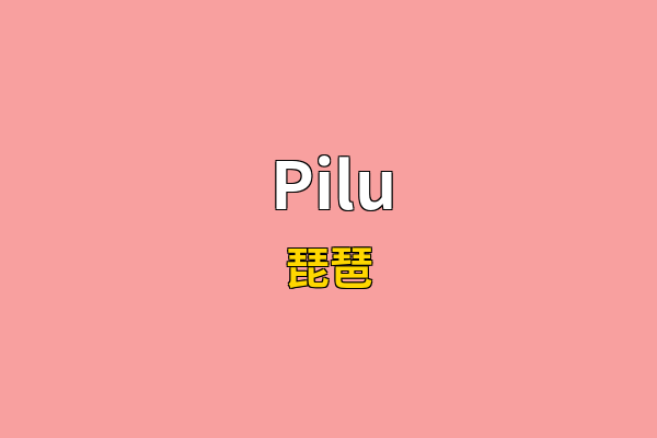Pilu英文名