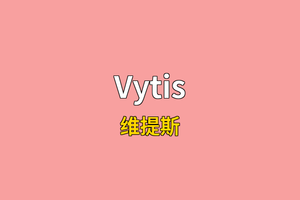 Vytis英文名
