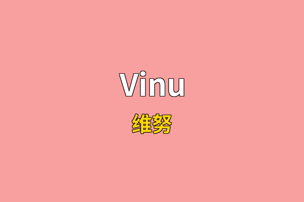 Vinu英文名