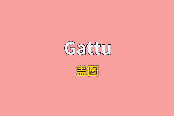 Gattu英文名
