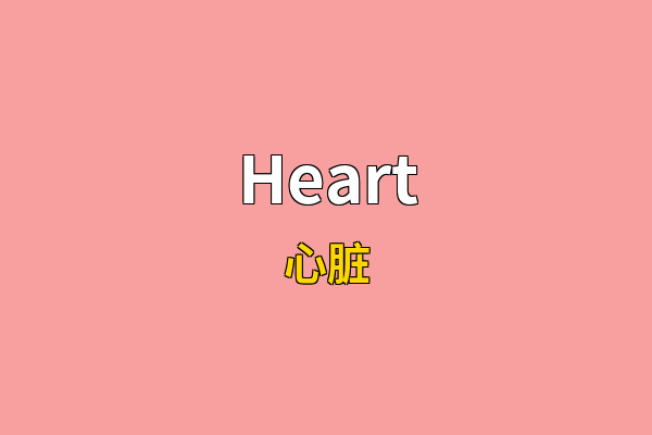 Heart英文名