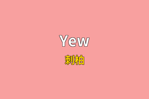 Yew英文名