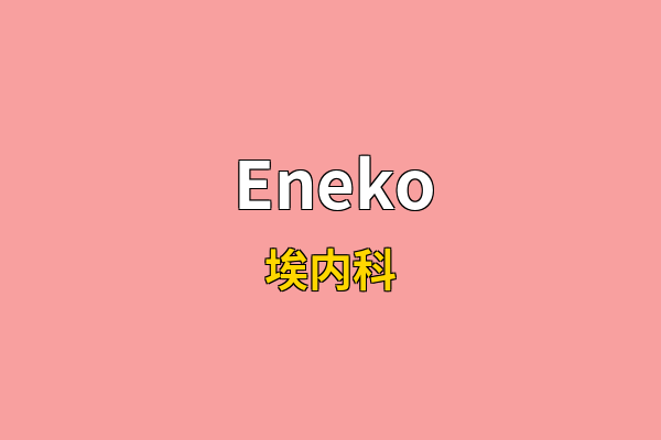 Eneko英文名
