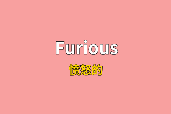 Furious英文名