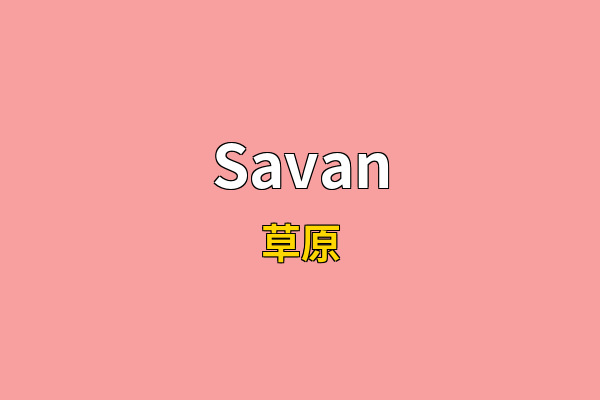 Savan英文名