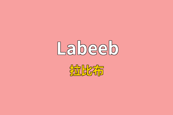 Labeeb英文名