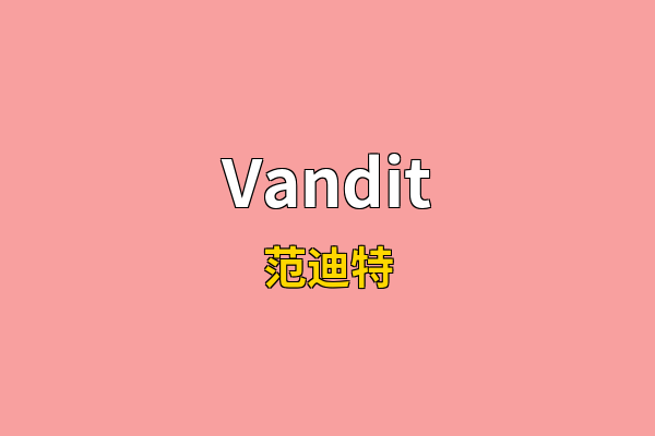 Vandit英文名