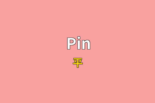 Pin英文名
