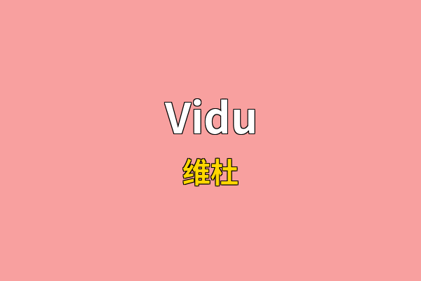 Vidu英文名