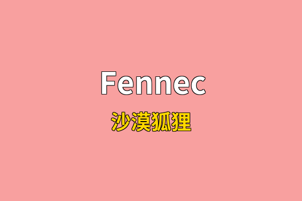 Fennec英文名