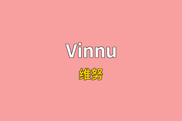 Vinnu英文名