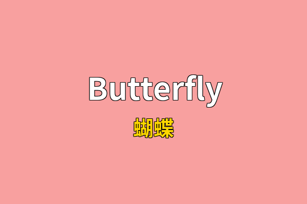 Butterfly英文名
