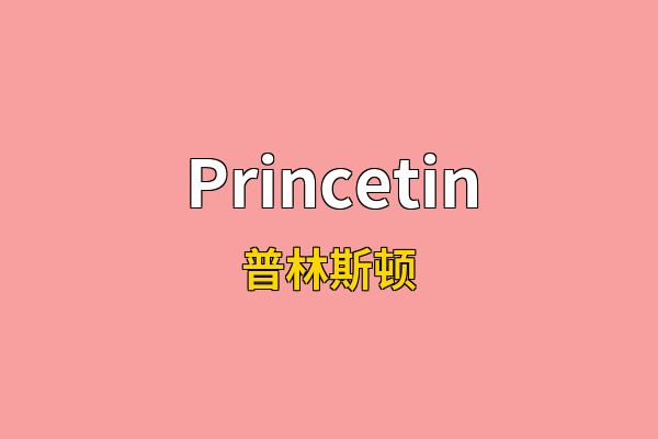 Princetin英文名