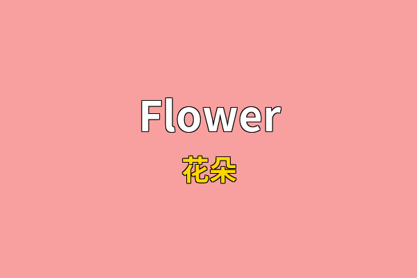 Flower英文名