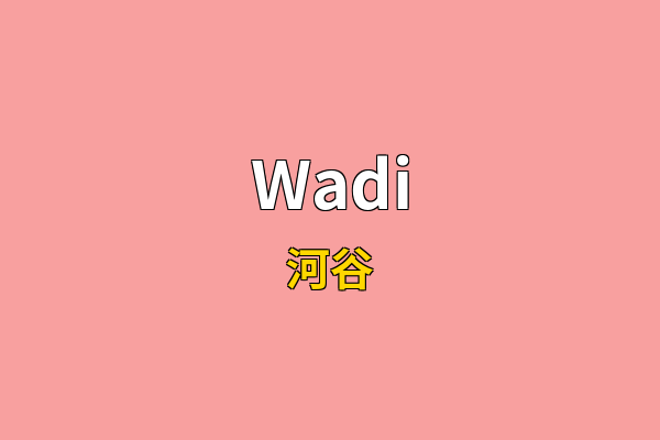 Wadi英文名