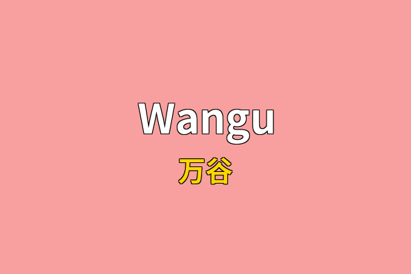 Wangu英文名