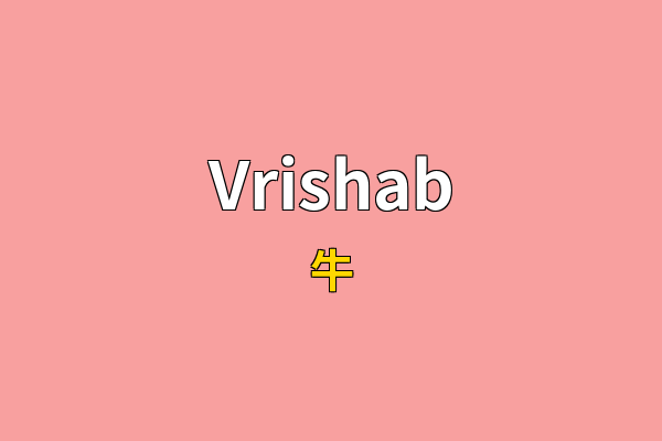 Vrishab英文名