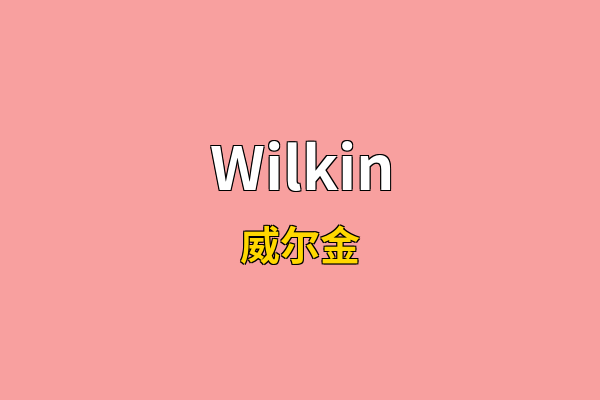 Wilkin英文名