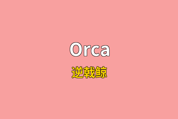 Orca英文名