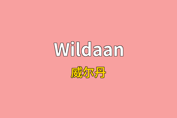 Wildaan英文名