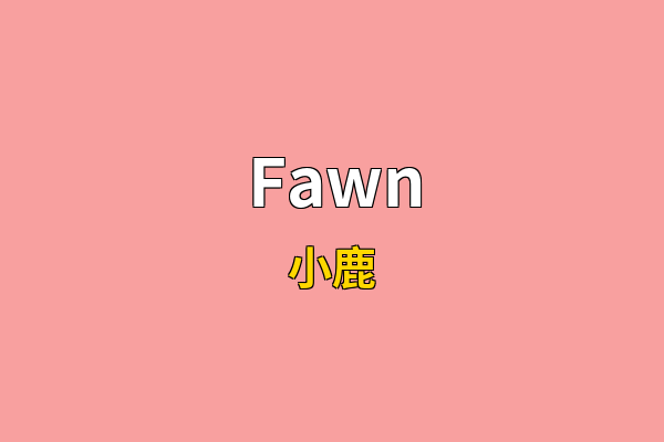 Fawn英文名