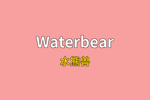 Waterbear英文名