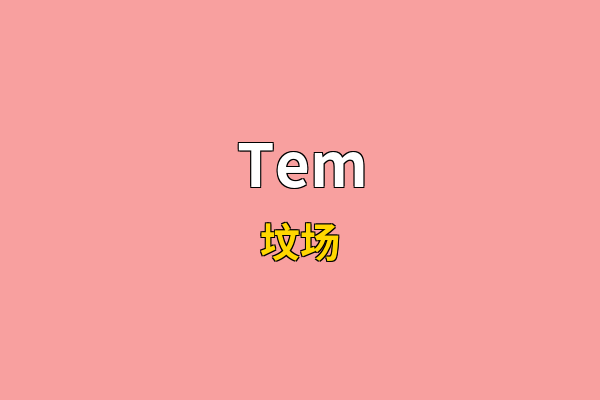 Tem英文名