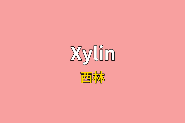 Xylin英文名