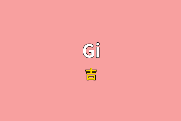 Gi英文名