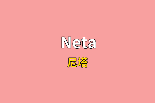 Neta英文名