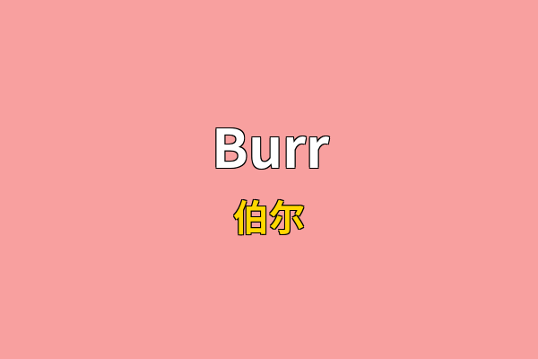 Burr英文名
